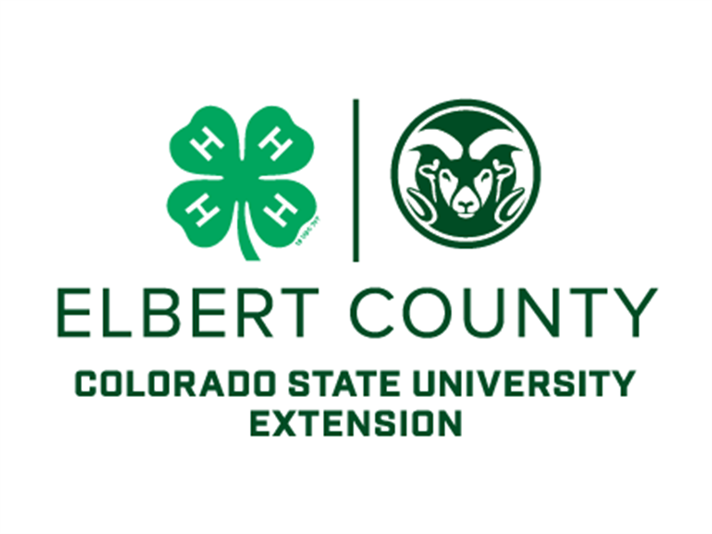 Logo for 2026 Elbert County Fair